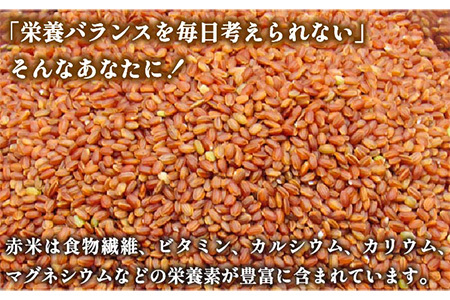 古代米　壱岐原の辻遺跡　黒米1kg、赤米1kg、緑米1kg[JDB126]