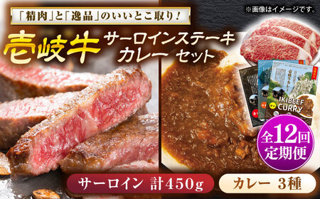 【全12回定期便】サーロインステーキ＆カレー3種 肉 和牛 [JDW118]