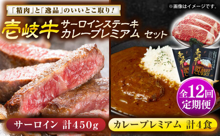【全12回定期便】サーロインステーキ＆カレープレミアム 肉 和牛 [JDW127]