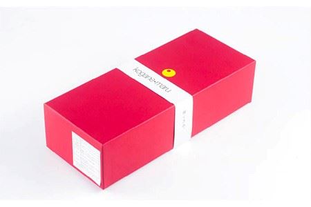 「極上」素直な恋たまご・黄金〇（kogane・maru） 《壱岐市》【壱岐市ふるさと商社】[JAA001] 卵 8000 8000円