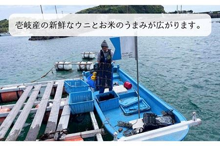 レンジで簡単 うに飯4個セット 味噌玉付き【シーガルイン】《壱岐市》【シーガルイン】[JAB004]  ご飯 味噌 みそ 炊き込み 14000 14000円