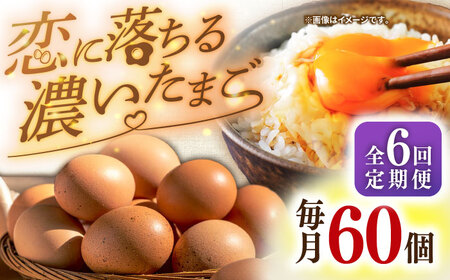 【 定期便 】6回 卵 たまご 特選素直な恋たまご 60個 [JAP004] 定期
