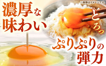 【 定期便 】6回 卵 たまご 特選素直な恋たまご 60個 [JAP004] 定期