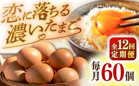 【 定期便 】12回 卵 たまご 特選素直な恋たまご 60個 [JAP005] 定期