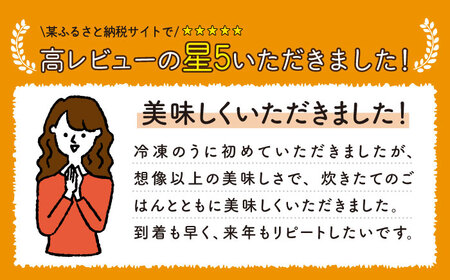 採れたて 生うに セット [JAR003] うに