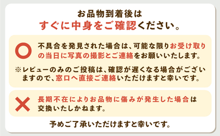 【先行予約】アムスメロン「翠」 3〜6玉（大箱）【2025年6月中旬以降順次発送】《壱岐市》【フレッシュメイト壱岐】[JAZ005] メロン めろん アムスメロン 果物 くだもの 果実 フルーツ デザート ギフト 贈答 プレゼント 20000 20000円