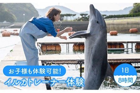 1日イルカトレーナー体験 《壱岐市》【壱岐イルカパーク＆リゾート】[JBF002] 50000 50000円 5万円