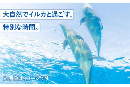 1日イルカトレーナー体験 《壱岐市》【壱岐イルカパーク＆リゾート】[JBF002] 50000 50000円 5万円