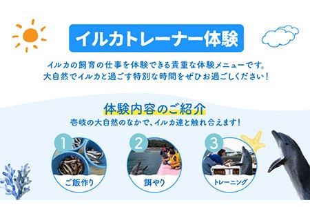 1日イルカトレーナー体験 《壱岐市》【壱岐イルカパーク＆リゾート】[JBF002] 50000 50000円 5万円