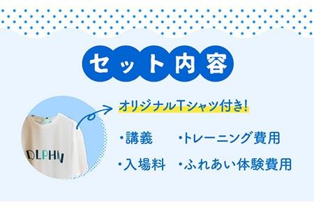 1日イルカトレーナー体験 《壱岐市》【壱岐イルカパーク＆リゾート】[JBF002] 50000 50000円 5万円