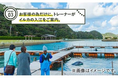 1日1組限定！ドルフィンパーク・ステイ 《壱岐市》【壱岐イルカパーク＆リゾート】[JBF004] 130000 130000円 13万円 体験