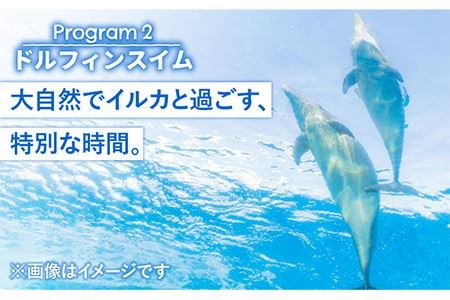 アイランド・マリン・リトリート（1泊2日） 《壱岐市》【壱岐イルカパーク＆リゾート】[JBF007] 150000 150000円 15万円 九州