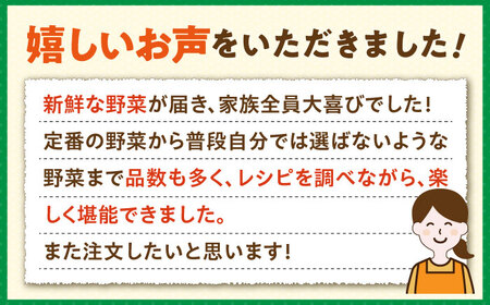 旬のお野菜7品セット《壱岐市》【壱岐市農業協同組合】[JBO001] 野菜 10000円