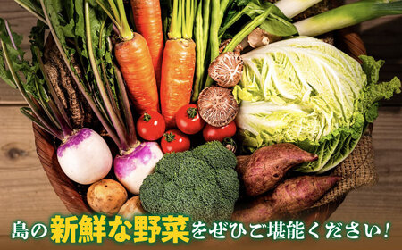 旬のお野菜7品セット《壱岐市》【壱岐市農業協同組合】[JBO001] 野菜 10000円