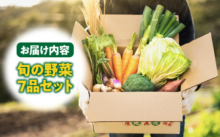 旬のお野菜7品セット《壱岐市》【壱岐市農業協同組合】[JBO001] 野菜 10000円