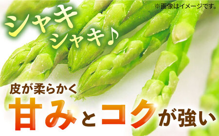 【先行予約】野菜 アスパラガス 壱岐産 1kg（L~2Lサイズ）【2026年3月以降順次発送】[JBO004] アスパラ 14000円