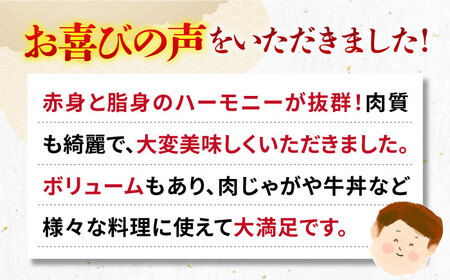 全3回 定期便 】お肉 壱岐牛 切り落とし 500g 《 壱岐市 》 【壱岐市