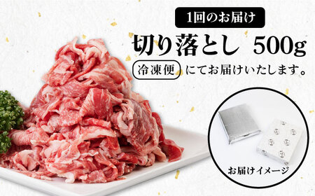 全3回 定期便 】お肉 壱岐牛 切り落とし 500g 《 壱岐市 》 【壱岐市