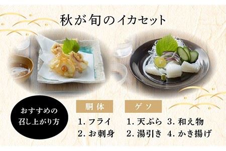 壱岐島 イカセット《壱岐市》【壱岐美食企画】[JBU003] イカ いか 刺身 ゲソ げそ 剣先イカ アオリイカ 22000 22000円 2万円 冷凍配送 九州