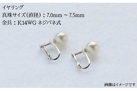 真珠 ネックレス イヤリング セット 《壱岐市》【上村真珠】[JCE001] 400000 400000円 40万円 アクセサリー