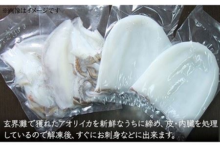 アオリイカ（水イカ）1,500g前後 [JCG019] イカ 刺身