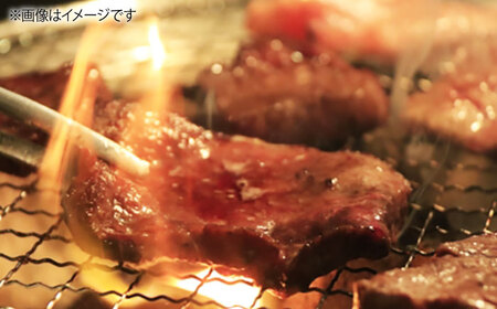 【全6回定期便】壱岐牛焼き肉セット 500g [JCG055]
