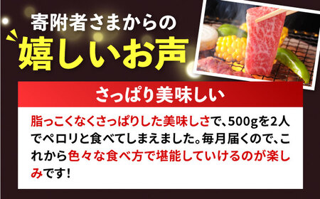 【全6回定期便】壱岐牛焼き肉セット 500g [JCG055]
