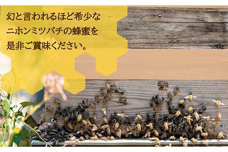 ニホンミツバチ 生蜂蜜 1,200×2（化粧箱付き） 《壱岐市》【憲ちゃん