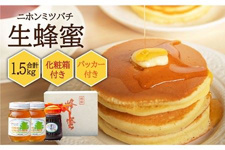 【先行予約】ニホンミツバチ 生蜂蜜 600g×2（パッカー300g・化粧箱付き） 【2026年6月中旬以降順次発送】《壱岐市》【憲ちゃんハチミツ】[JCL011] ハチミツ 蜂蜜 日本蜜蜂 ジャム 贅沢 高級 ギフト プレゼント 贈り物 化粧箱 74000 74000円 のし プレゼント ギフト