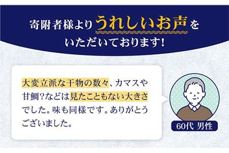 旬の海産物セットB [JCY001] 干物 ひもの みりん干し アジ タイ カマス