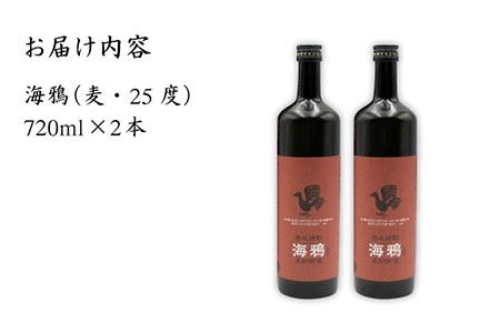 【年内発送】麦焼酎 海鴉 25度 720ml 2本《壱岐市》【天下御免】[JDB034] 16000 16000円 のし ギフト