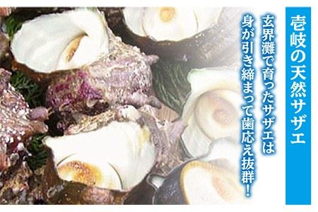 【全12回 定期便 】秘伝のタレ サザエのつぼ焼き（ 6個入り×2パック ）[JDB103] サザエ おつまみ