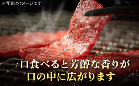 特選 壱岐牛 モモ 500g （焼肉用）《壱岐市》【太陽商事】 [JDL003] 冷凍配送 黒毛和牛 A5ランク 肉 牛肉 モモ 赤身 焼肉 焼き肉 焼肉用 BBQ 焼肉用 九州