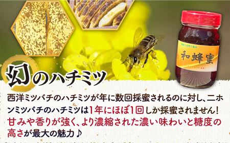 和蜂蜜（ニホンミツバチ）600g《壱岐市》【和蜂ファーム壱岐】[JDP003] ハチミツ 蜂蜜 はちみつ 日本ミツバチ 35000 35000円  コダワリはちみつ・蜂蜜・ハチミツ こだわりはちみつ・蜂蜜・ハチミツ おすすめはちみつ・蜂蜜・ハチミツ おススメはちみつ・蜂蜜・ハチミツ 人気はちみつ・蜂蜜・ハチミツ 定番はちみつ・蜂蜜・ハチミツ 通販はちみつ・蜂蜜・ハチミツ お取り寄せはちみつ・蜂蜜・ハチミツ 自宅用はちみつ・蜂蜜・ハチミツ 贈答はちみつ・蜂蜜・ハチミツ