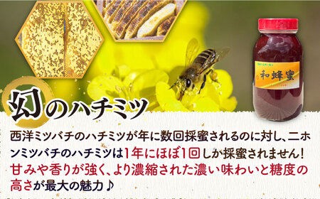 和蜂蜜（ニホンミツバチ） 1.2kg 《壱岐市》【和蜂ファーム壱岐】[JDP007] ハチミツ 蜂蜜 はちみつ 日本ミツバチ 69000 69000円  コダワリはちみつ・蜂蜜・ハチミツ こだわりはちみつ・蜂蜜・ハチミツ おすすめはちみつ・蜂蜜・ハチミツ おススメはちみつ・蜂蜜・ハチミツ 人気はちみつ・蜂蜜・ハチミツ 定番はちみつ・蜂蜜・ハチミツ 通販はちみつ・蜂蜜・ハチミツ お取り寄せはちみつ・蜂蜜・ハチミツ 自宅用はちみつ・蜂蜜・ハチミツ 贈答はちみつ・蜂蜜・ハチミツ