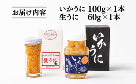 生うに60g いかうにセット 《壱岐市》 【大幸物産】イカ いか 紫