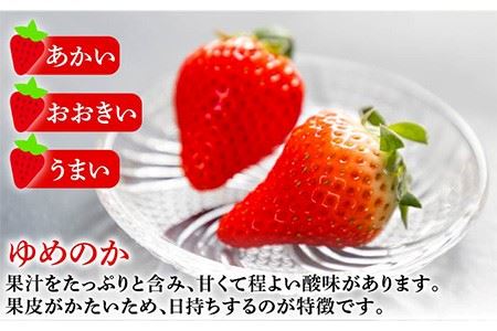 ゆめ恋セット（ゆめのか・恋みのり）計1kg《壱岐市》【蒼花】 [JEO001] 13000 13000円 コダワリいちご・イチゴ・苺 こだわりいちご・イチゴ・苺 おすすめいちご・イチゴ・苺 おススメいちご・イチゴ・苺 人気いちご・イチゴ・苺 定番いちご・イチゴ・苺 通販いちご・イチゴ・苺 お取り寄せいちご・イチゴ・苺 自宅用いちご・イチゴ・苺 贈答いちご・イチゴ・苺