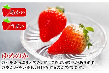 【先行予約】お徳用 バラ詰め イチゴ 1kg （ゆめのか・恋みのり） 【2025年2月以降順次発送】《壱岐市》【蒼花】[JEO002] いちご イチゴ 苺 フルーツ 果物 スムージー ジャム ゆめのか 恋みのり セット 食べ比べ 冷蔵 訳あり 10000 10000円 7千円 冷蔵配送