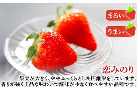 【先行予約】お徳用 バラ詰め イチゴ 1kg （ゆめのか・恋みのり） 【2025年2月以降順次発送】《壱岐市》【蒼花】[JEO002] いちご イチゴ 苺 フルーツ 果物 スムージー ジャム ゆめのか 恋みのり セット 食べ比べ 冷蔵 訳あり 10000 10000円 7千円 冷蔵配送