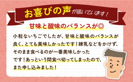 【先行予約】お徳用 バラ詰め イチゴ 1kg （ゆめのか・恋みのり） 【2025年2月以降順次発送】《壱岐市》【蒼花】[JEO002] いちご イチゴ 苺 フルーツ 果物 スムージー ジャム ゆめのか 恋みのり セット 食べ比べ 冷蔵 訳あり 10000 10000円 7千円 冷蔵配送