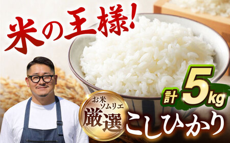 こしひかり 5kg [JCZ021] コシヒカリ 精米 白米