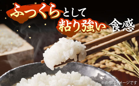 【令和7年産】壱岐島産「にこまる」白米 5kg (特A評価) [JCZ023]