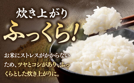 【令和7年産】壱岐島産「にこまる」白米 5kg (特A評価) [JCZ023]