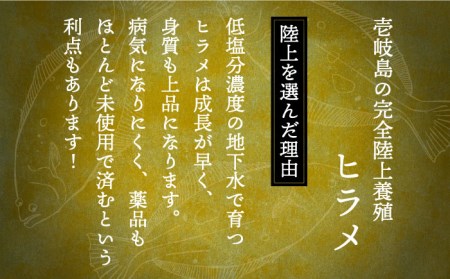 【全12回定期便】ヒラメフィレ 約400g（1尾・1kg台前後）《壱岐市》【なかはら】 [JDT038] ヒラメ ひらめ フィレ 柵 刺身 刺身ブロック 刺し身 切身 冷凍 海鮮 海鮮丼 291000 291000円 冷凍配送