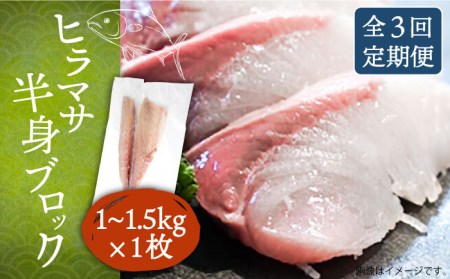 【全3回定期便】壱岐産 ヒラマサフィレ 約1～1.5kg（半身）[JDT039]