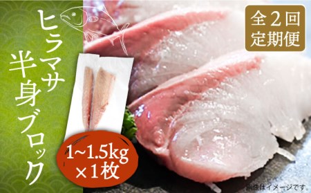 【全2回定期便】壱岐産 ヒラマサフィレ 約1～1.5kg（半身）[JDT070]