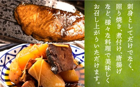 【全2回定期便】壱岐産 ヒラマサ フィレ 2kg〜3kg（半身×2枚・刺身用）[JDT071]