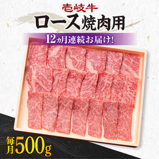 【全12回定期便】《A4～A5ランク》壱岐牛 ロース 500g（焼肉用）[JBO076] 肉 牛肉 ロース 焼肉 赤身 BBQ  384000 384000円