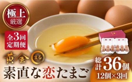 【全3回定期便】「極上」素直な恋たまご・黄金〇（kogane・maru） 卵 たまご 鶏卵 贈答 定期便 12個 36個 [JAA004] 24000 24000円