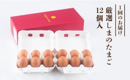 【全3回定期便】「極上」素直な恋たまご・黄金〇（kogane・maru） 卵 たまご 鶏卵 贈答 定期便 12個 36個 [JAA004] 24000 24000円